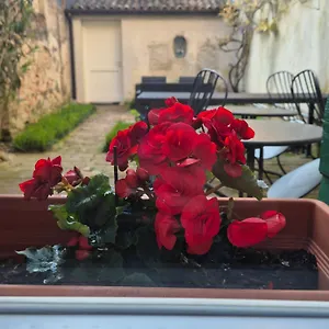 Bed and breakfast 19 Borgo Cavour